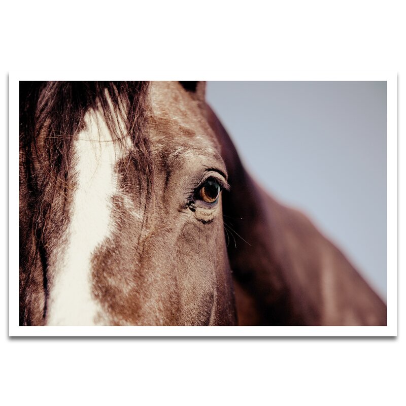 Union Rustic 'Horse Trot' Photographic Print | Wayfair